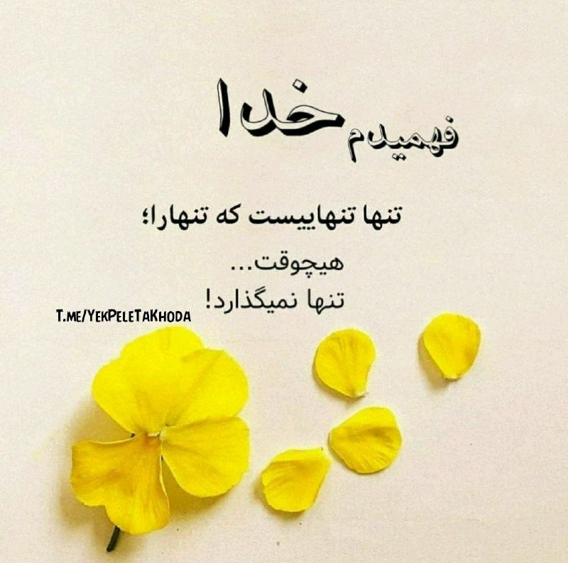 ۞یک پله تا ملاقات خدا۞: 🌹 @YekPeleTaKhoda🌸🍃الـــهـــی🙏🍓🍃همیشه بهترین🌸🍃افکار به سراغتون بیاد🌸🍃الــهــی🙏 🍓🍃اونــقــدر غــرق🌸🍃خوشبختی بشید که تا🍓🍃ع