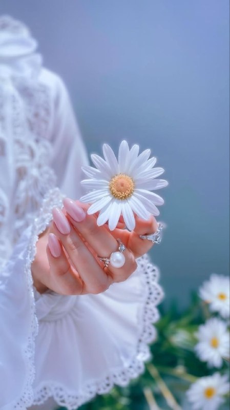 عشق يعنى...🖤: ‌از بهار پرسیدم عشق یعنی چه؟گفت تازه شکفته‌ام هنوز نمی‌دانم. از تابستان پرسیدم عشق یعنی چه؟گفت فعلاً در گرمای وجودش غرقم