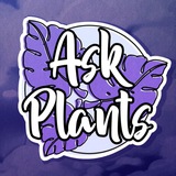🌱 Ask Plants 🌱