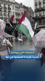 הפגנות שבועיות בלב בריסל לתמיכה בפלסטין, ובדחייה של רצח העם המתמשך ברצועת עזה, על רקע קריאות בדרישה להפסיק…