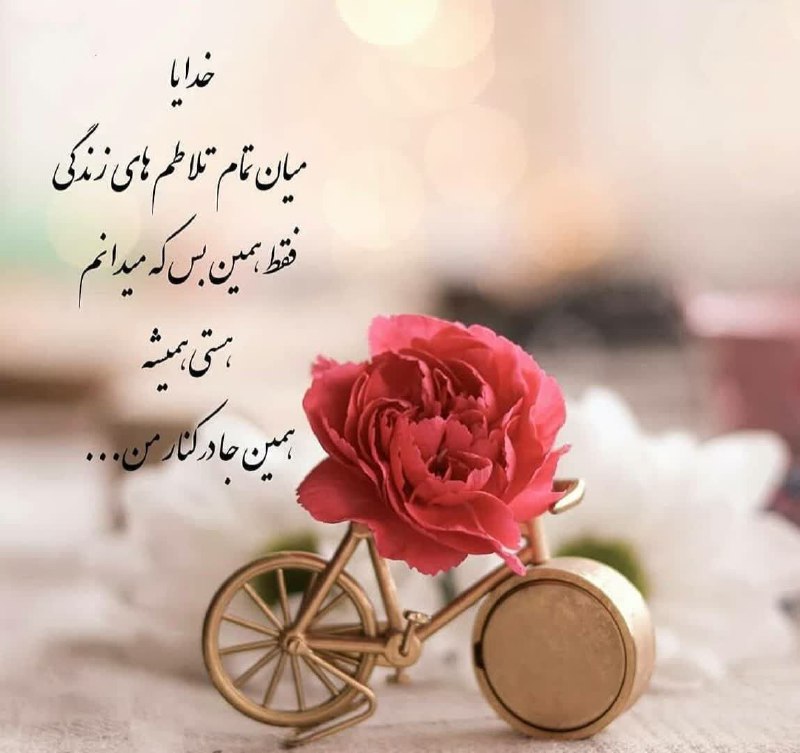 دنیای فانتزی های پویا💃👪✌️: "صبح"یعنی دوستی با دانه هادست دادن با همه *پروانه ها*"صبح" یعنی آن *کلاغ روی سیم*بالهای خسته یک "یاکریم""صبح" یعنی "عشق 