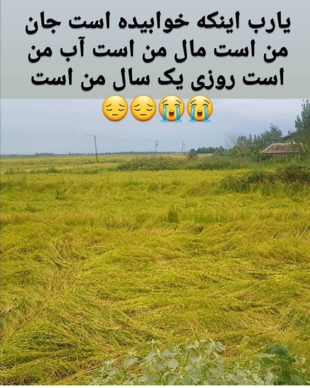 💚سده💚: رسانه پست
