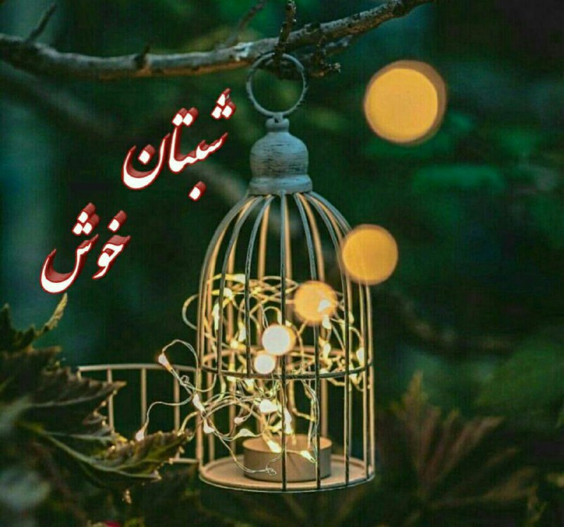 شمس آذربایجان: شب را بدون افسوسامروز رفتهبدون آهِ گذشته تمام ڪنبه فردا فڪر ڪن ڪهروزِ دیگری استدنیاتون بدون غم ومملو ازخبرهای خوش..شب زی