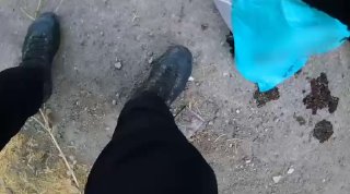ענבר טויזר