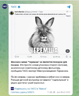 К важным новостям. В Минпросвещения тихо не спеша прокомментировали мем "Черемша"