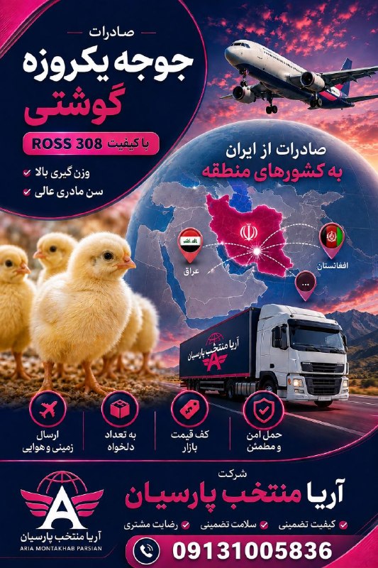 Ariamontakhab: 🌍 مرزها فاصله‌اند، کیفیت مقصد را پیدا می‌کند. 🐣 صادرات جوجه یک‌روزه گوشتی از ایران🚚 با ارسال مطمئن به کشورهای منطقه.👩🏻‍💻
