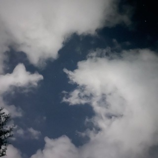 . Telegram Group Link