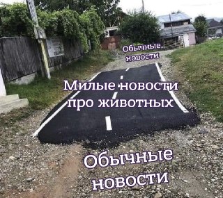 В Ленобласти барсук решил поваляться перед сном и попал в фотоловушку: https://lentach.media/T4Tu7