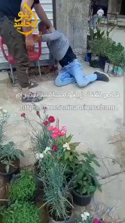 صورة المنشور