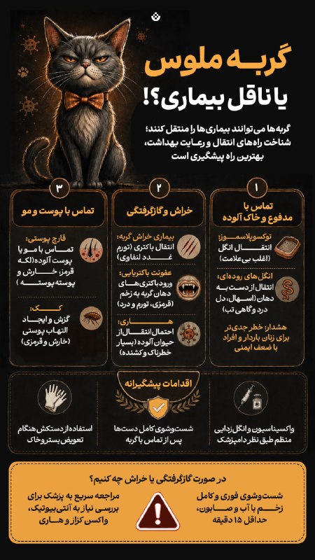 تبیان: 🟡 ژست حیواندوستی به بهای بهداشت عمومی! 🔸 «میخواهی وارد کافه شوی، باید از میان یک گردان گربه بیصاحب رد شوی! سفارش هم ک