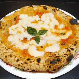 PIZZA NETWORK🍕 Telegram Group Link