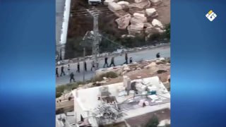 דיווח תמונה | הסלמה של פיגועי הכיבוש בגדה המערבית