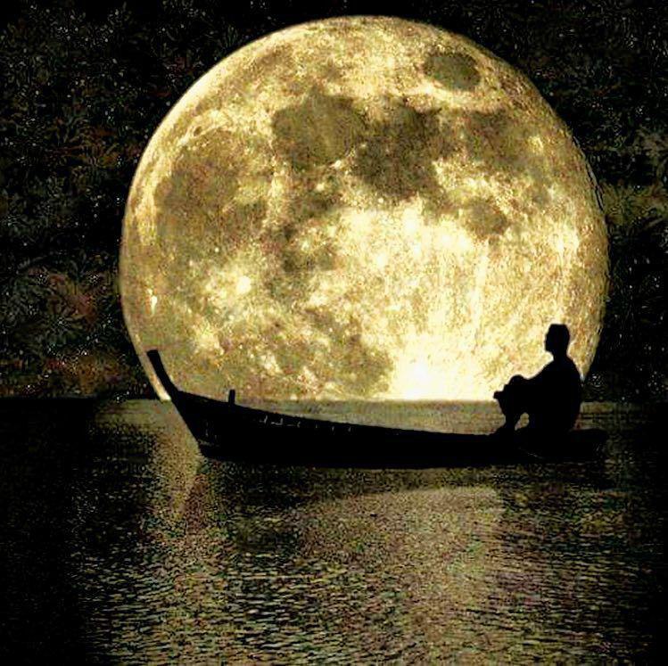 🌹روزگاری غریب🌹: به گمانم فـردا🌜روز خـوبی بـاشد✨صورتِ مـاه به من میگوید🌜گرچه شب تـاریک است✨دل قـوی دار🌜سحـر نـزدیک است✨حال زندگیتون خوب🌜ش
