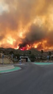 אסף רוזנצוייג