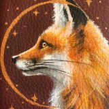 XONNI art