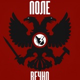 Поле Вечно🔻