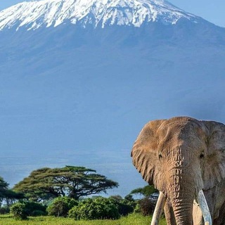 Travel Destinations Kenya🇰🇪 Telegram Group Link