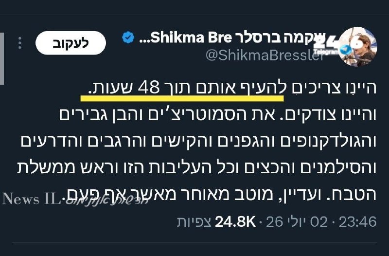 🇮🇱 מישהו יודע להסביר למה האישה המסוכנת הזו מתכוונת? איך בדיוק מעיפים אנשי שילטון תוך 48 שעות? הג'וקר.