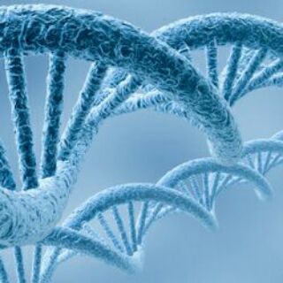 Molecular biology ppt Telegram Group Link