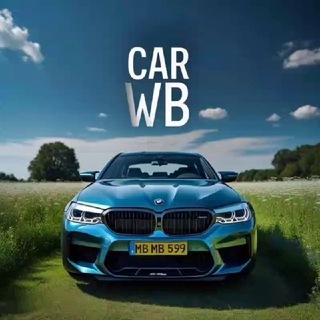 Telegram profile photo for Car wb