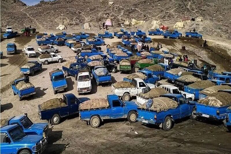 רשת הברחת נפט הגז המאורגנת נעצרה בהורמוזגן