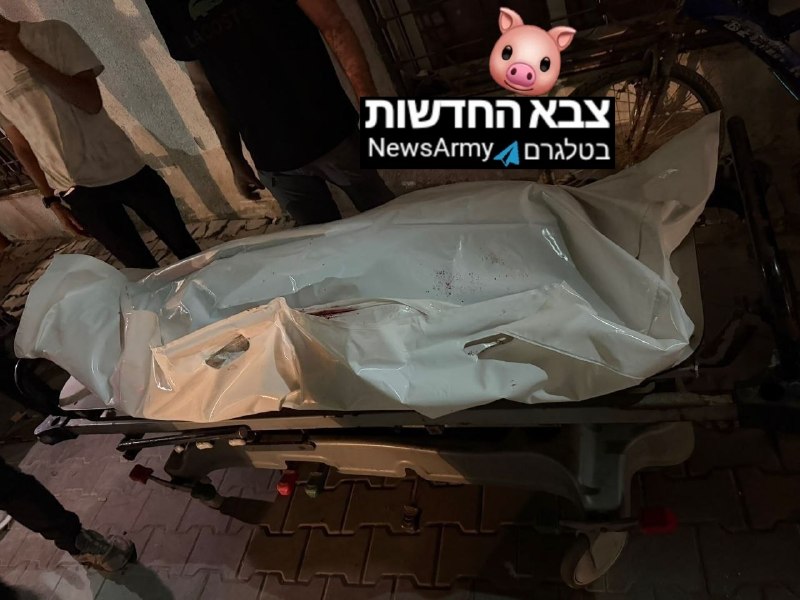 A terrorist was killed in a western attack on Gaza City.