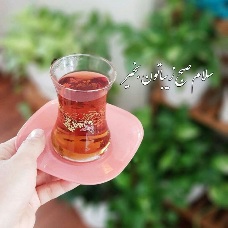 معارف اهل بیت (ع): ❤️✨سلام صبح زیباتون بخیر ❤️✨سلام به رحمةللعالمین 🤍✨وخاتم المرسلین (ص)❤️✨الهی امروز خیر و برکت 🤍✨به زندگیتون بباره ❤️✨مهر