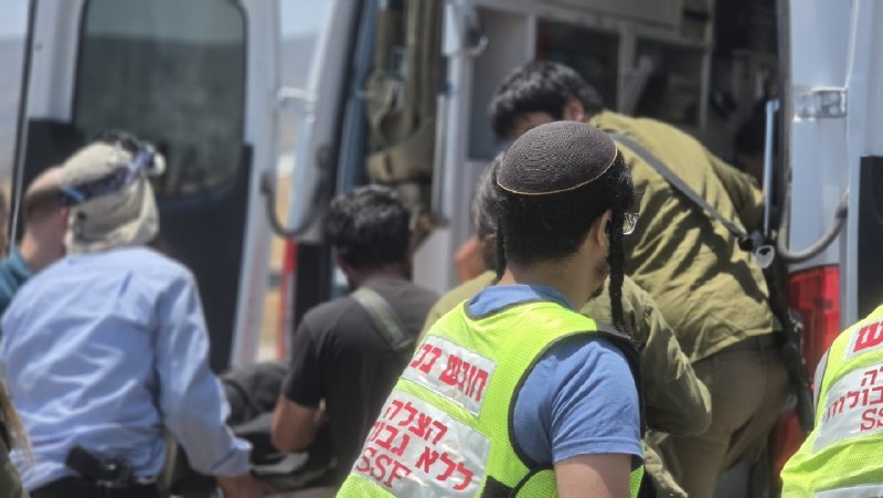 ניצן שפירא