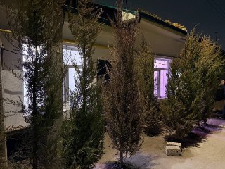 Котедж на сергели 2х комнатный,ремонт техника срочно