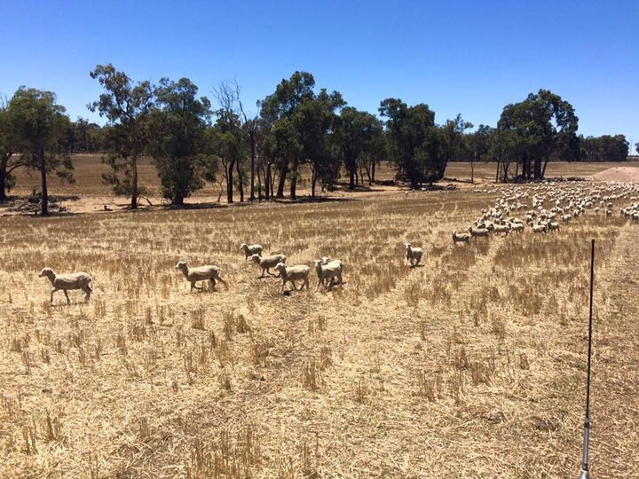 逼著我成長的「旅行」
