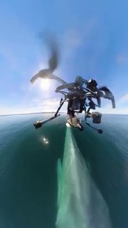How drones are used to safely tag whales for conservation research.Science and facts💡