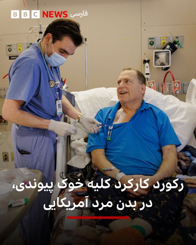 רופאים אמריקאים אומרים שכליית חזיר שהושתלה לחולה אמריקאי עבדה במשך 271 ימים, וזה שיא חדש.
