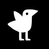 Dodo Socks