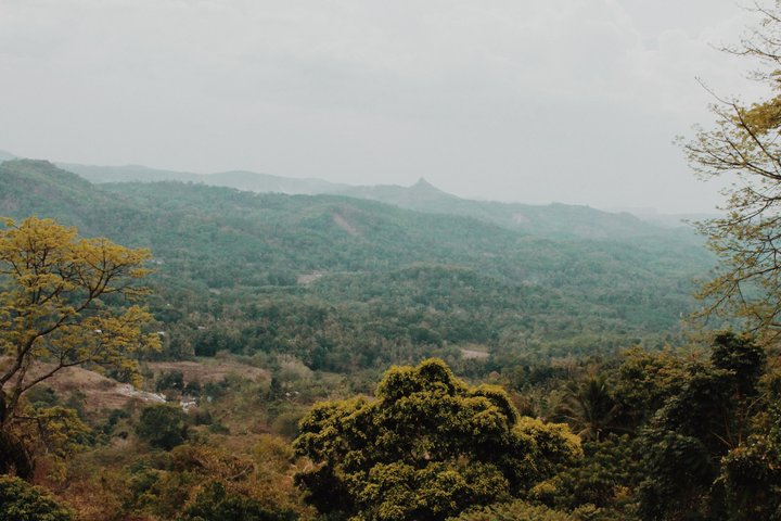 斯里蘭卡｜別忘記帶上你自得其樂的本領感受它的美
