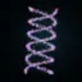 $DNA - PORTAL