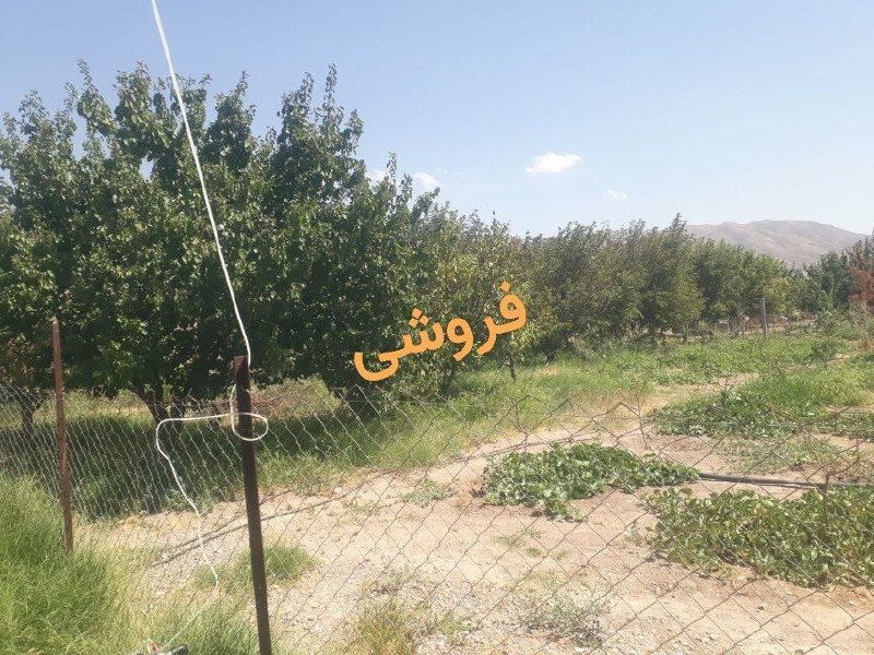 میانادان نه خبر 💯: باغی به مساحت ۱۲۰۰ متر مربع دارای آب و برق و گاز مشترک فنس کشی شده در روستای سبز به فروش میرسد شماره تماس ۰۹۱۴۸۶۱۵۷۳۷🆔👉