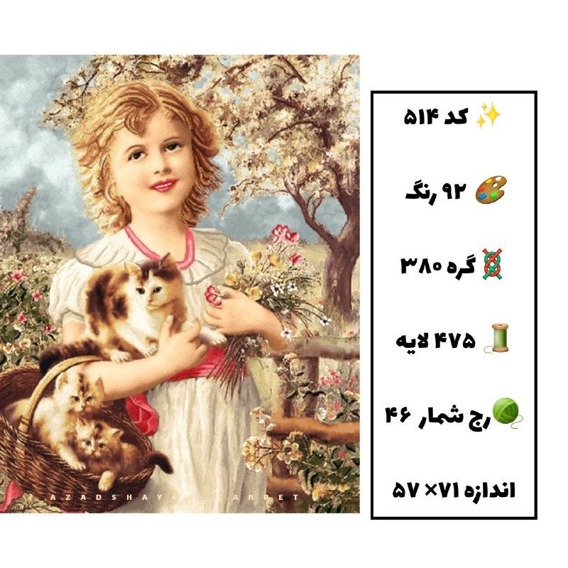 آزادشایان: کد ۵۱۴۶۰۲ گره۴۱۴ لایهفرانسویدختر و گربه