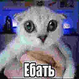 Инфо Сквазима/Ао🪐
