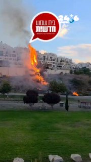🇮🇱 More from Beit Shemesh Additional documentation from the fire in Yarom Park near the houses. National Fire and Rescue.