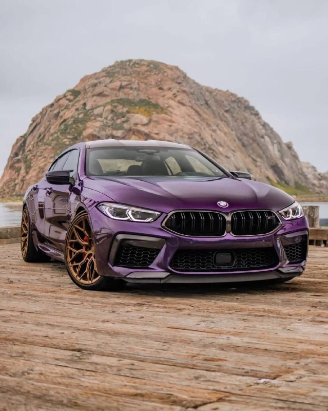 https://t.me/bmw_mpower_club