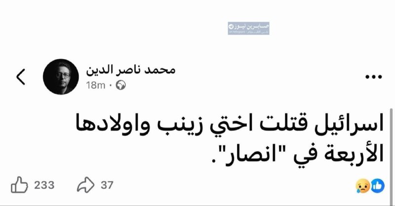 נפגעים עיריית אנסאר, דרום לבנון