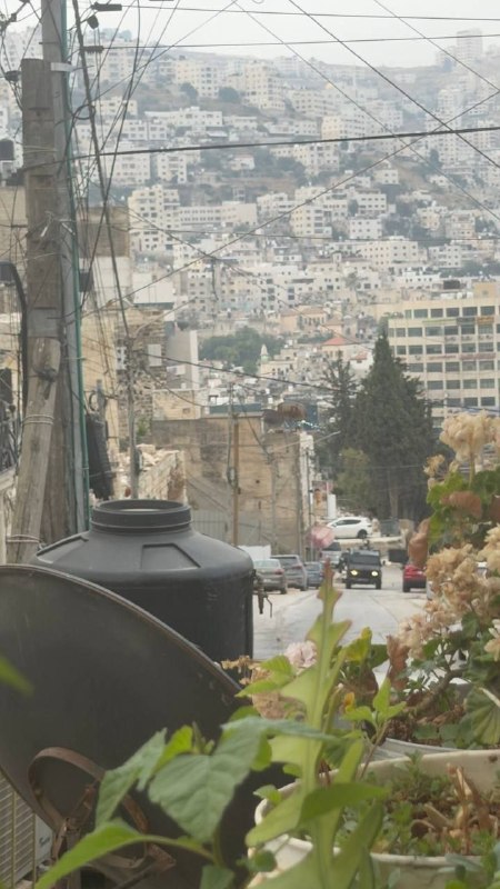 חלק מכוחות הכיבוש מסתערים על רחוב אל-חג'ה עפפא ובסביבת בית החולים הלאומי במרכז שכם.