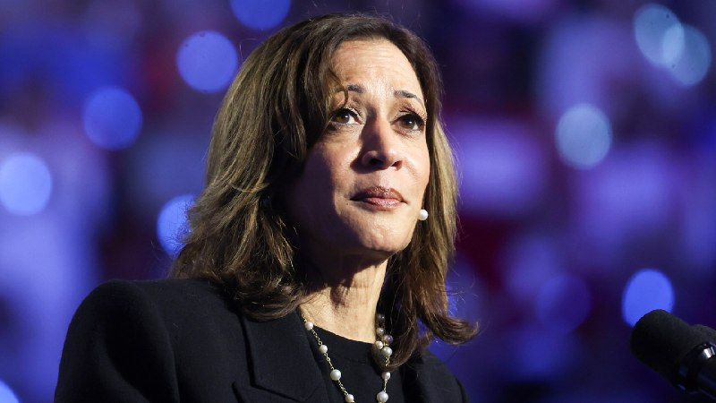Dems Hemorrhaged Support from All Demographics in 2024 — Including New Voters