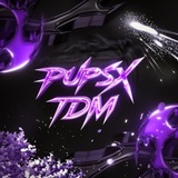 PUPSX tdm