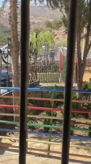 Urgent: Settlers storm the vicinity of "Ramallah Park" and wander near the suburb of al-Rayyan.