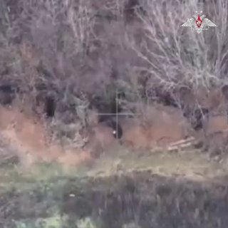 אויב "מקנן" תחת עול ארטילריה צוותי הוביצרים מתנייעים 2S1 "גווזדיקה" מקבוצת "ווסטוק" השמידו את עמדות השליטה…