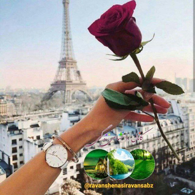 🌹👌سخنان ناب و پند آموز👌🌹: من برایِ حالِ خوبم ، می جنگم !قوی بودن ؛ در دنیایِ من ، انتخاب نیست ،یک قانونِ اساسی و اجباریست .اوضاع ، هرچقدر که می خو