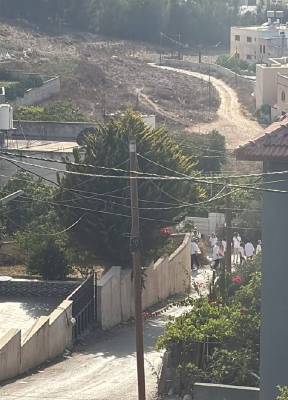 דחוף: מתנחלים מסתערים על היישוב טל ממערב לשכם.