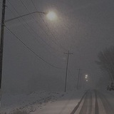 Таёжный Сбор