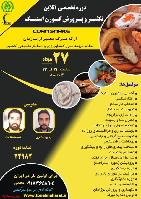 مرکزفنچ ایران: 👈فرصت ثبت نام ۴۸ ساعت 👈پرورش کورن اسنیک👈دوره ای مختص علاقه مندان به خزندگان و بی مهرگان